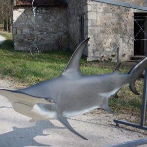 Requin marteau